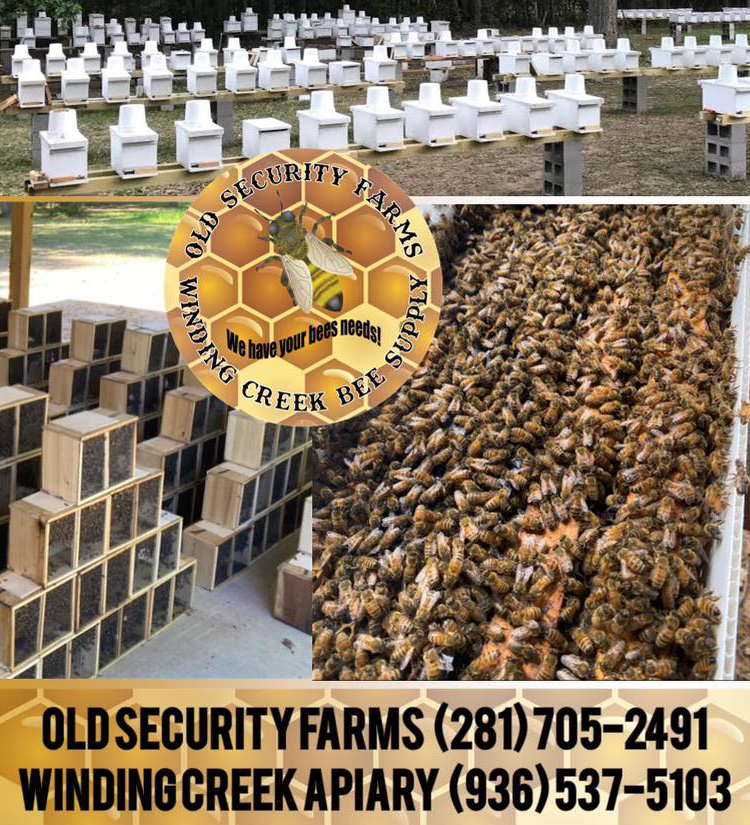 Nuc and packages | Winding Creek Bee Supply LLC